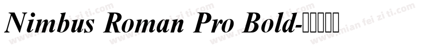 Nimbus Roman Pro Bold字体转换